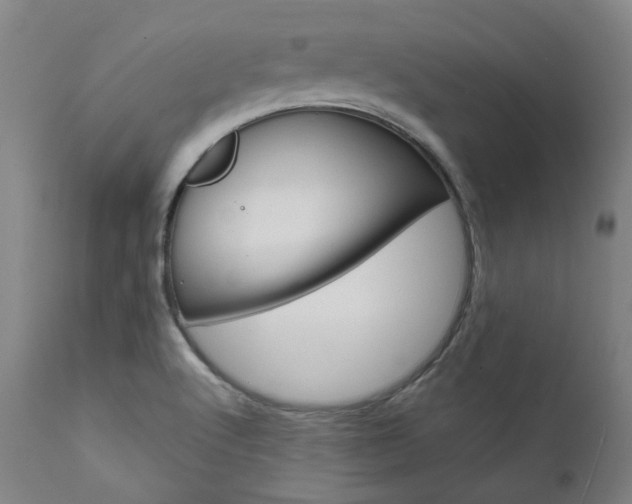 X0000111621512200907171051