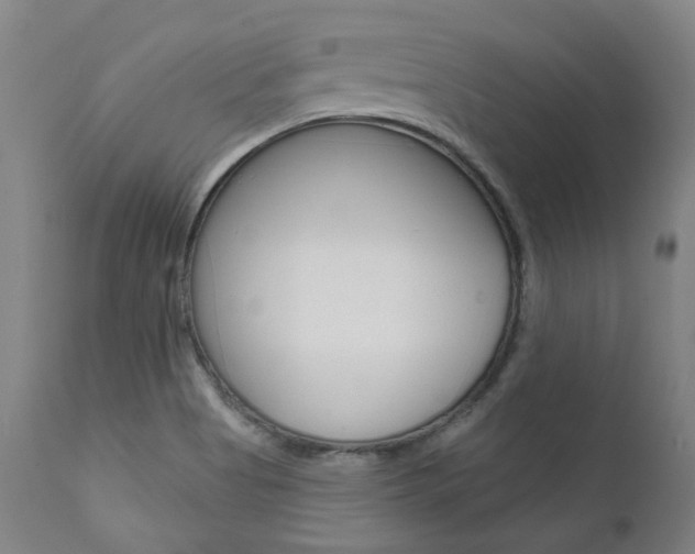 X0000111621513200907171051