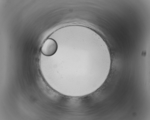 X0000111621514200907171051