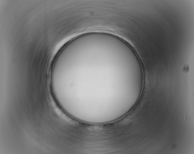 X0000111621515200907171051