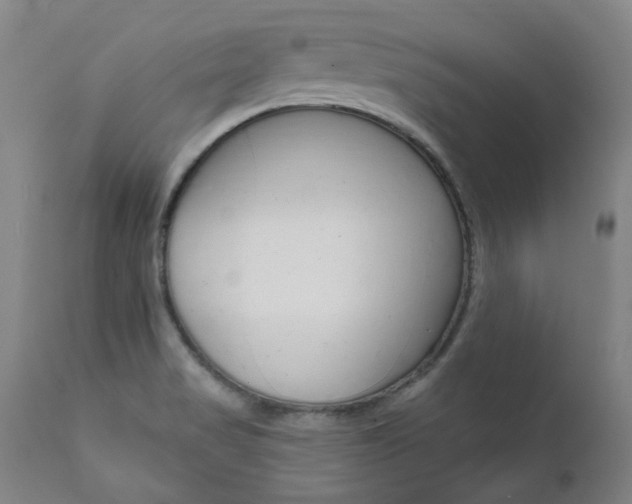 X0000111621517200907171051