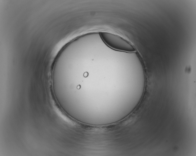 X0000111621519200907171051