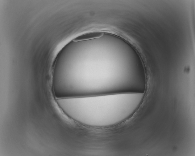 X0000111621520200907171051