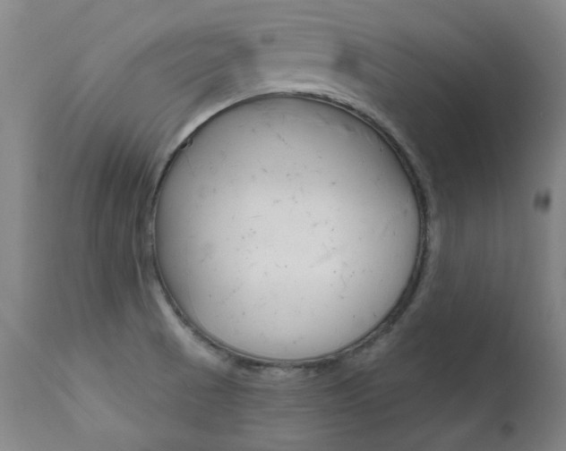 X0000111621521200907171051