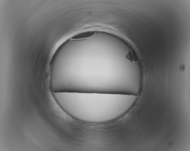 X0000111621522200907171051
