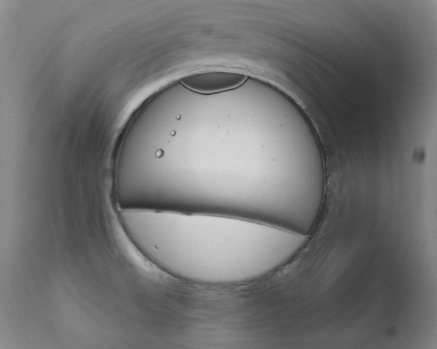 X0000111621523200907171051