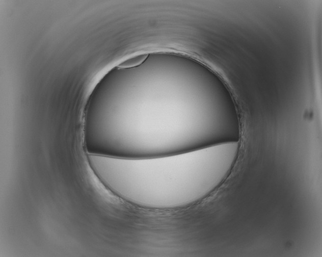 X0000111621524200907171051
