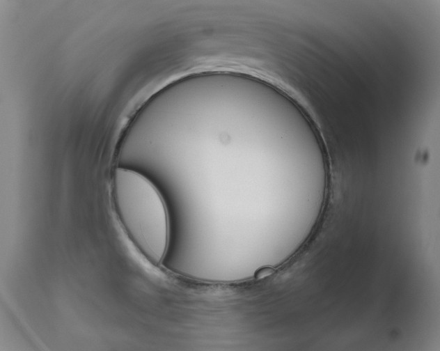 X0000111621525200907171051