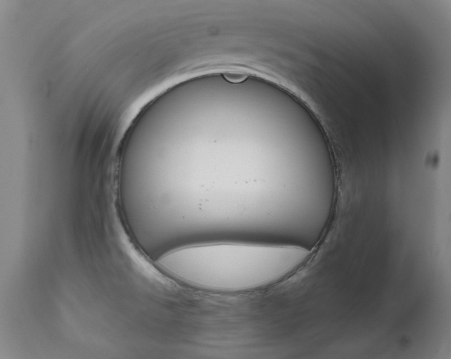X0000111621526200907171051