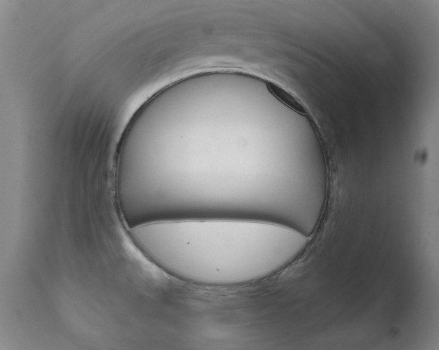 X0000111621527200907171051