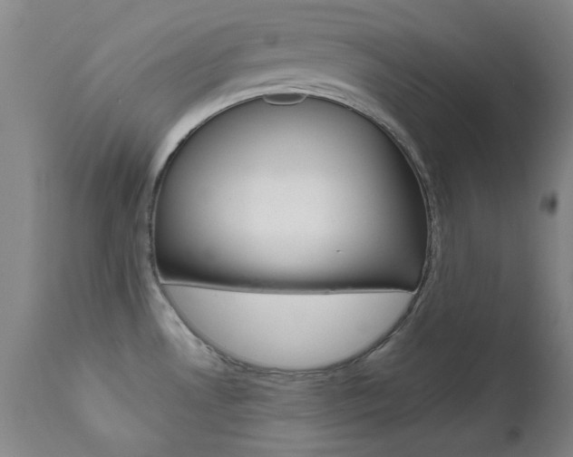 X0000111621530200907171051