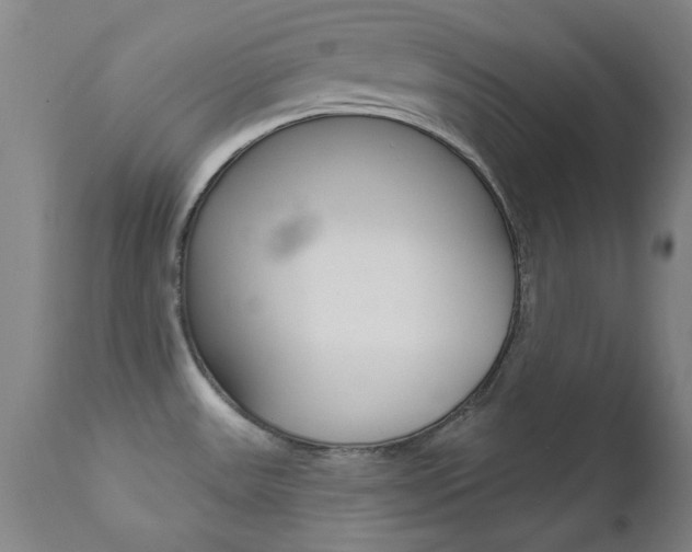 X0000111621531200907171051
