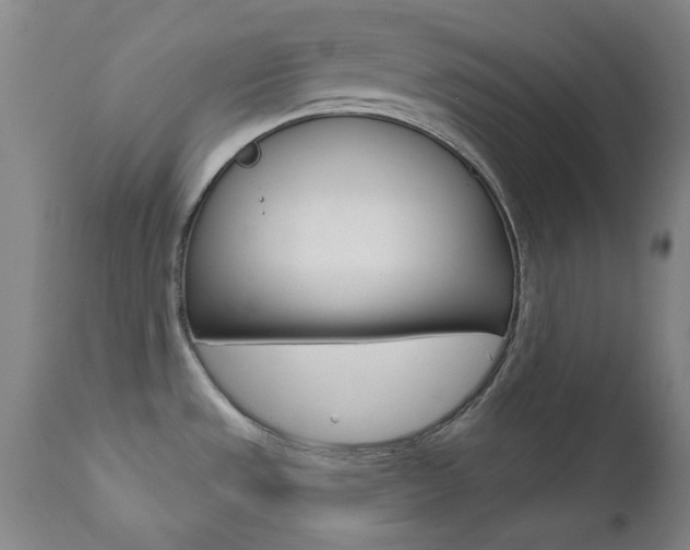 X0000111621533200907171052