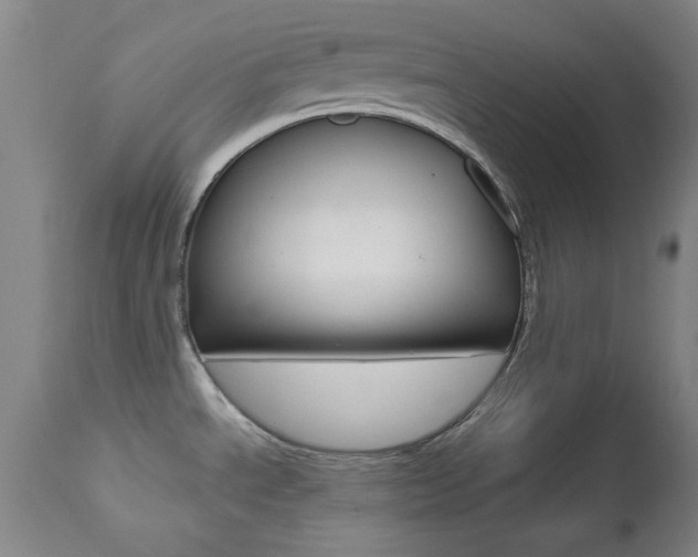 X0000111621534200907171052