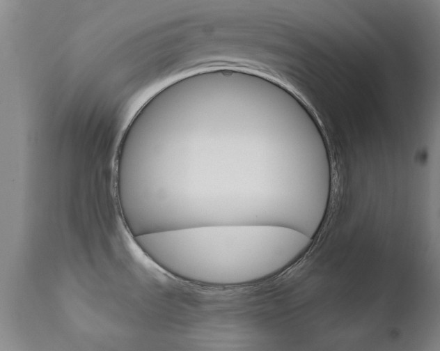 X0000111621535200907171052
