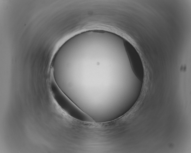 X0000111621536200907171052
