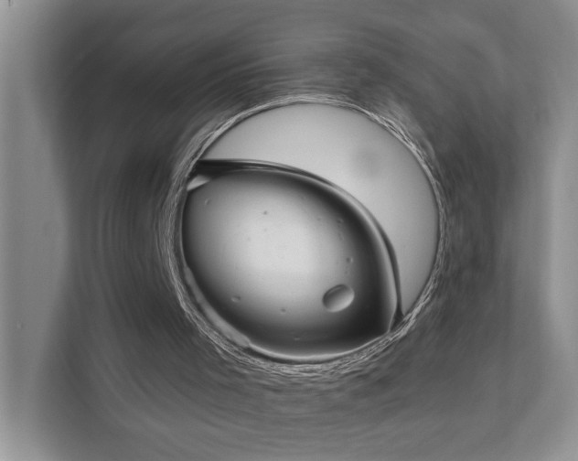X0000111620001200907171253