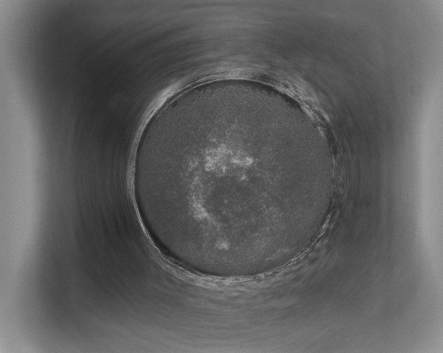X0000111620003200907171253