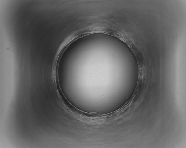 X0000111620004200907171253