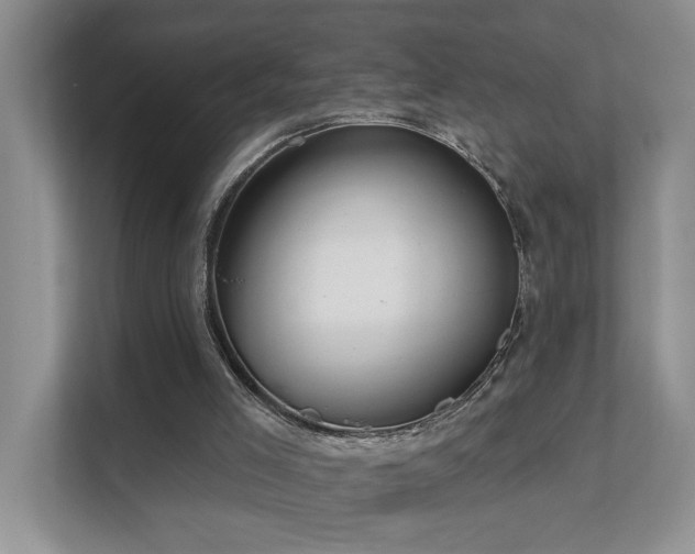 X0000111620005200907171253