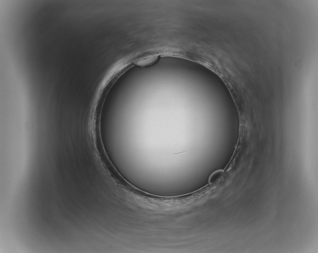 X0000111620006200907171253