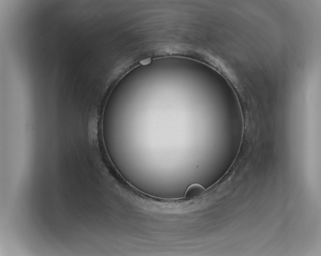 X0000111620010200907171253