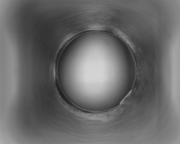 X0000111620011200907171253