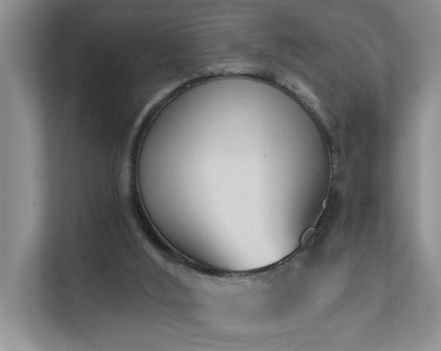 X0000111620012200907171253