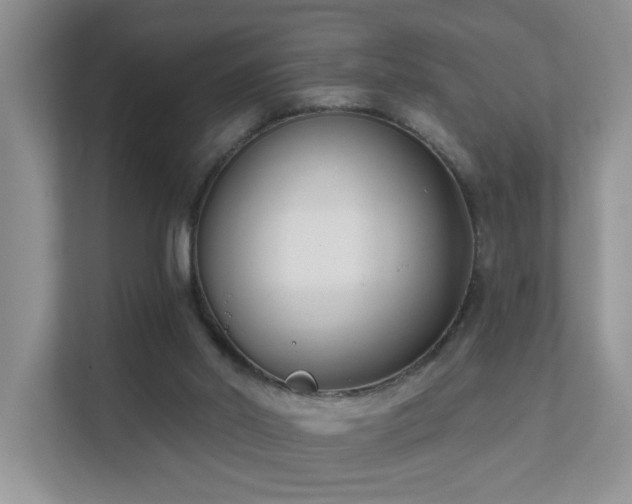 X0000111620014200907171253