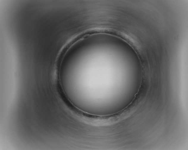 X0000111620016200907171253