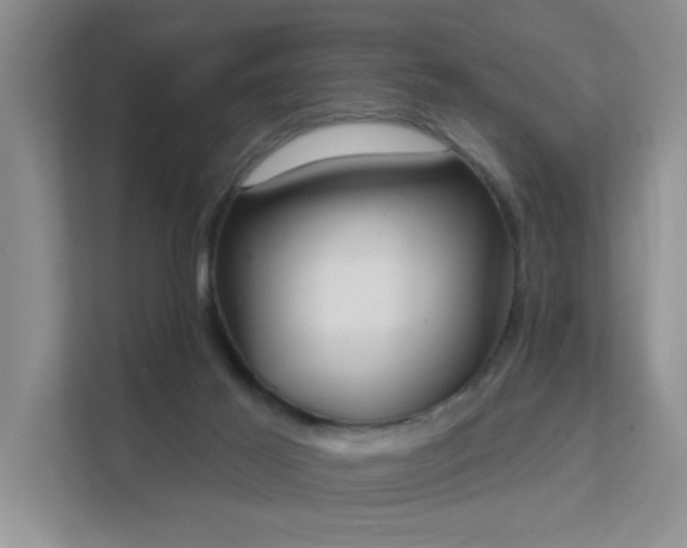 X0000111620021200907171253