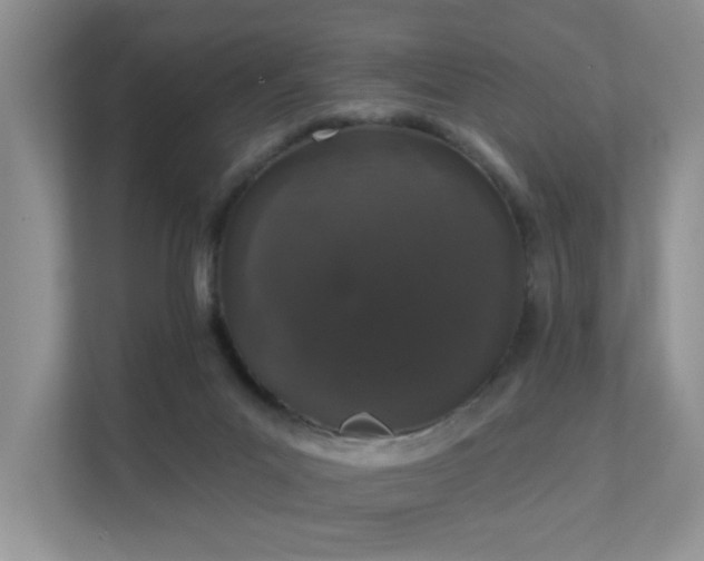 X0000111620023200907171253