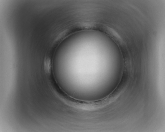 X0000111620024200907171253