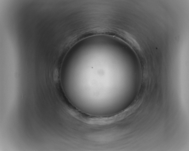 X0000111620025200907171253