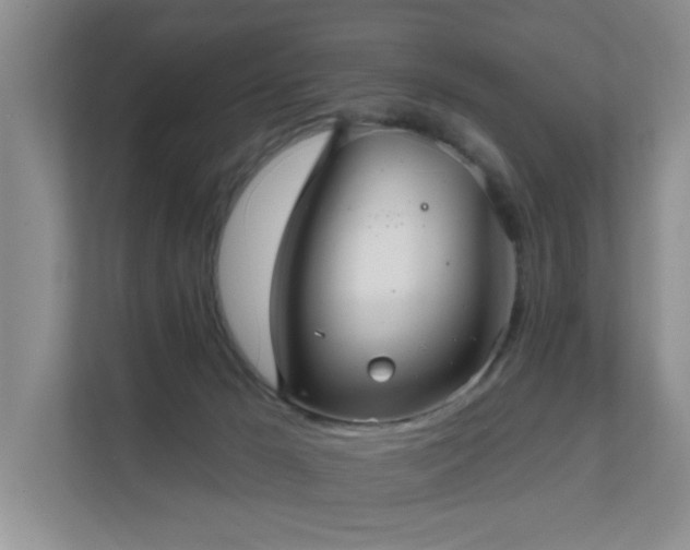 X0000111620029200907171253