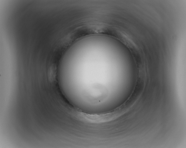 X0000111620030200907171253