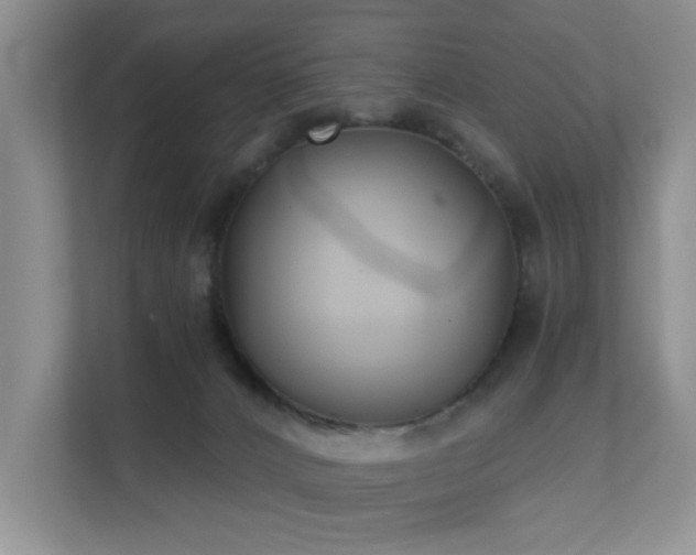X0000111620032200907171253