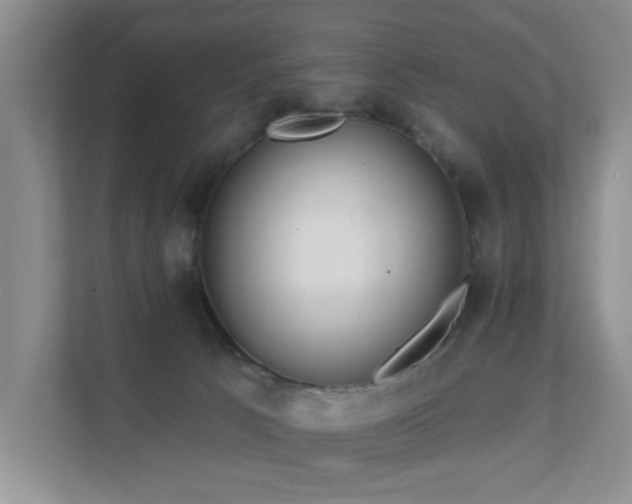 X0000111620033200907171253