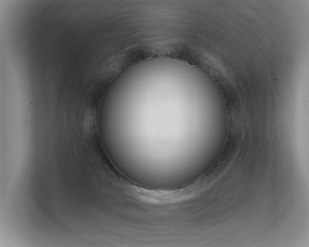 X0000111620034200907171253