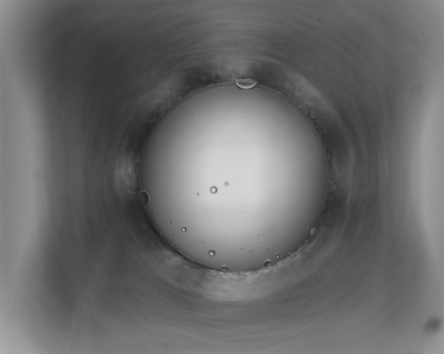 X0000111620037200907171253