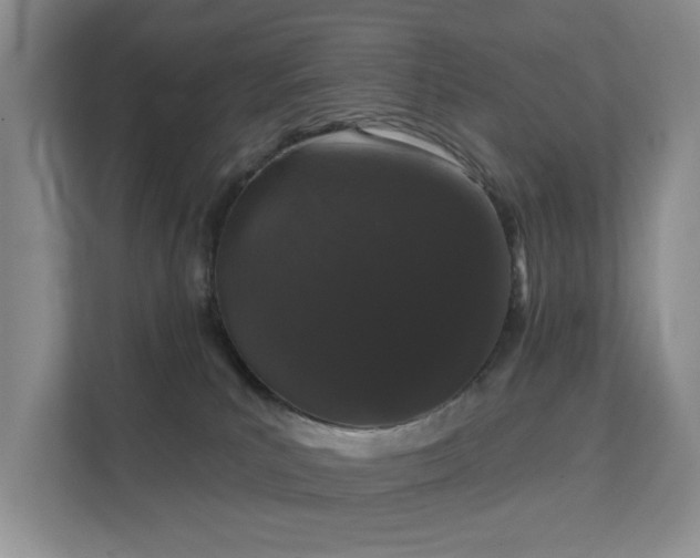 X0000111620039200907171253