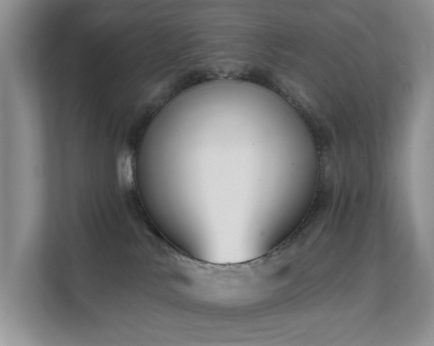 X0000111620042200907171253