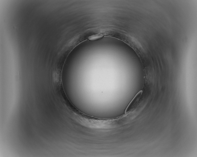 X0000111620044200907171253