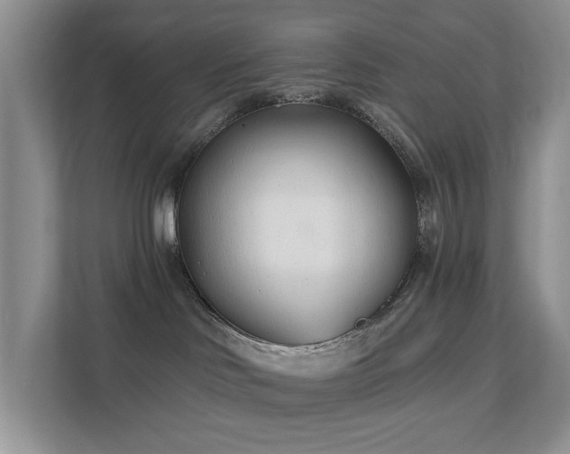 X0000111620046200907171253