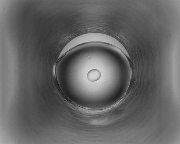 X0000111620047200907171253