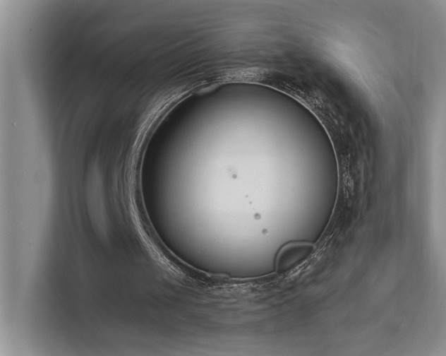 X0000111620049200907171252
