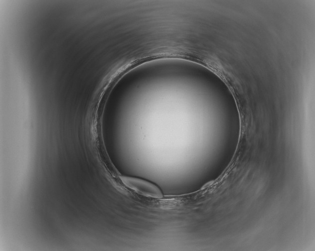 X0000111620050200907171252