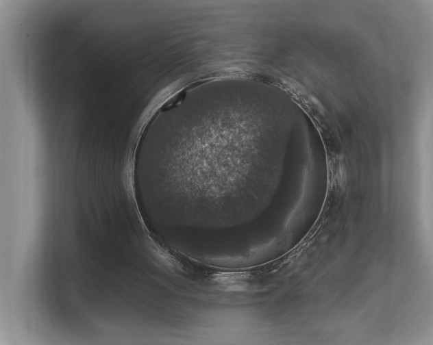 X0000111620051200907171252