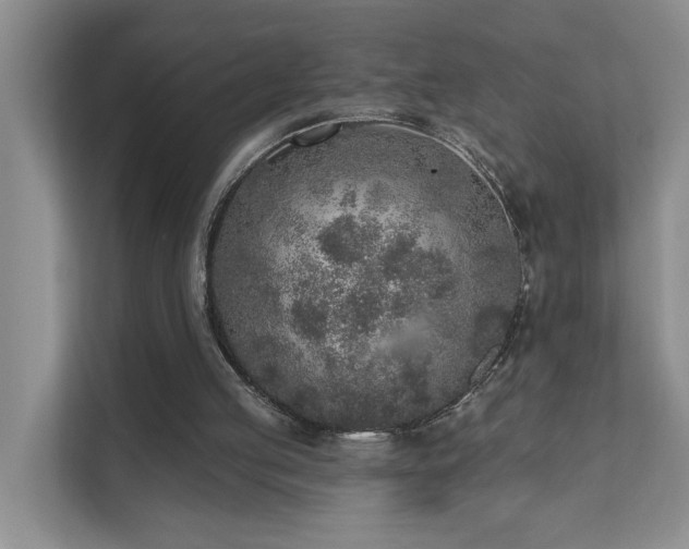 X0000111620053200907171252