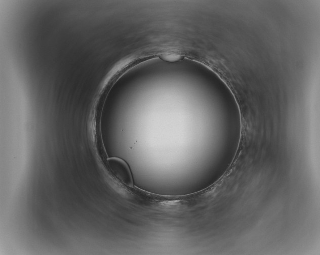 X0000111620054200907171252